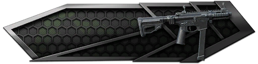 Quarter Circle 10 SMG Custom