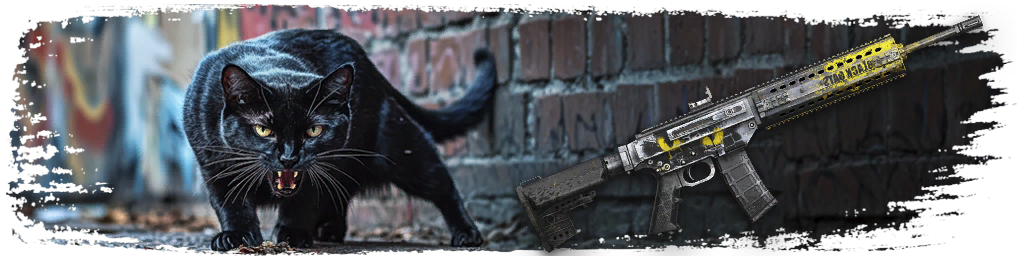 “Black Cats” MPAR-556
