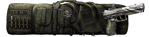 Дозор: H&K P30