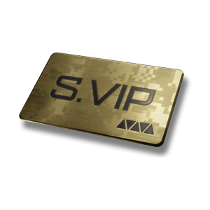 Супер VIP-ускоритель
