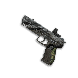 H&K P30 «Дозор» (1 дн.)