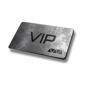 VIP-ускоритель (1 дн.)